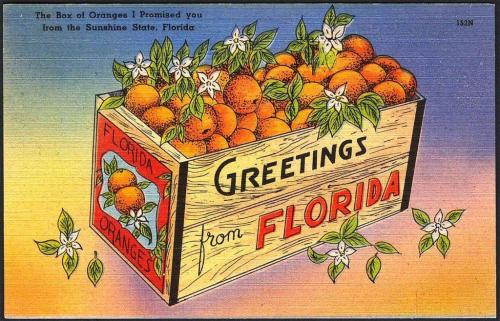 Box of Oranges Postcard