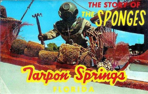 Tarpon Springs Postcard
